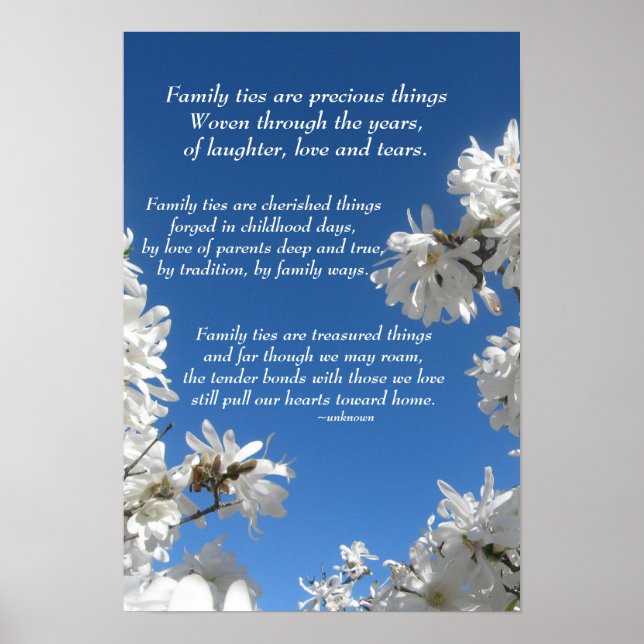 Krawatte Magnolia Poster (Vorne)