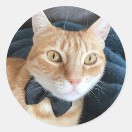 Krawatte Runder Aufkleber