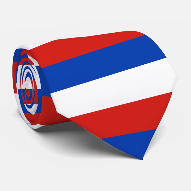 Krawatte Schleswig-Holstein (Gerollt)