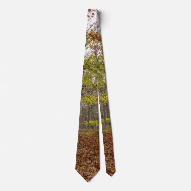 Krawatte von Herbst (Vorderseite)