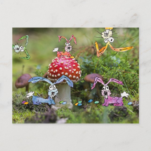 "KRAZY BUNNIES!" Postkarte (Vorderseite)