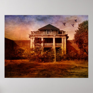 Kreativer Wahnsinn-Irrenhaus Poster