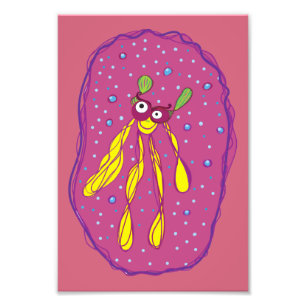 Kreaturentraum Schwimmer Kodak Berufliches Foto