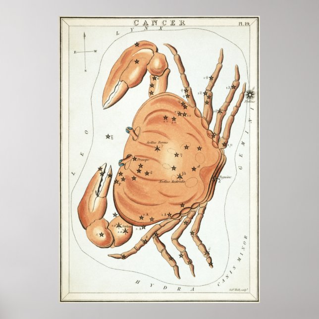 Krebs Astrologisch Zeichnend Poster (Vorne)