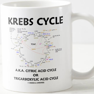 Krebs Cycle A.K.A. Citric Acid Cycle Tricarbonat Kaffeetasse