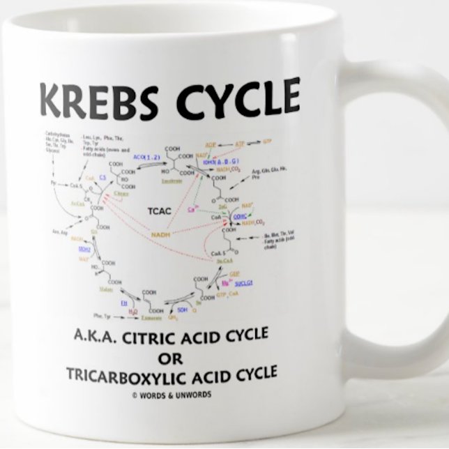 Krebs Cycle A.K.A. Citric Acid Cycle Tricarbonat Kaffeetasse (Biochemistry attitude mug for any Krebs cycle fan)