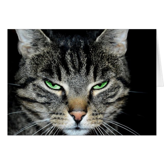 Krebs ist schwer, aber du bist eine gründlichere,  (Vorderseite (Horizontal))