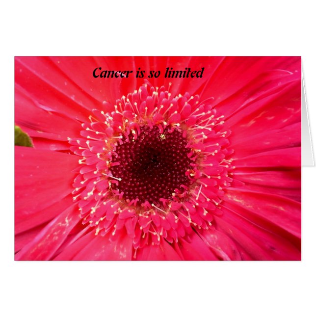 Krebs ist so begrenzt (Vorderseite (Horizontal))