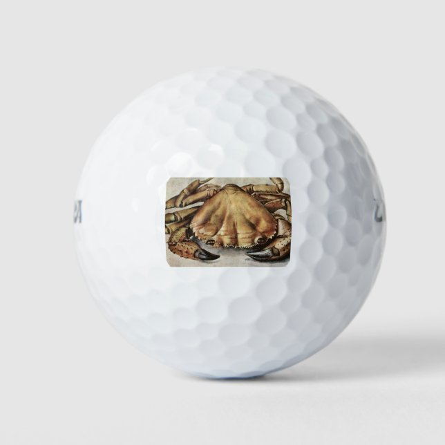 Krebs (Kreatur unter dem Meer) (von Albrecht Durer Golfball (Vorderseite)