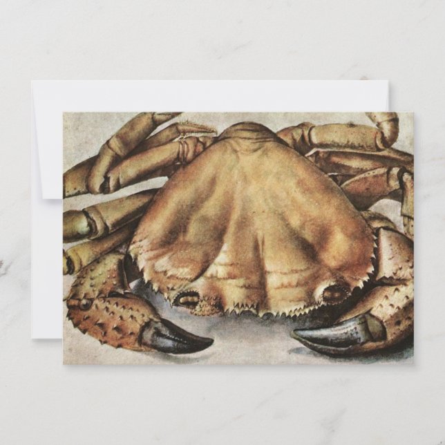 Krebs (Kreatur unter dem Meer) (von Albrecht Durer Karte (Vorderseite)