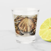 Krebs (Kreatur unter dem Meer) (von Albrecht Durer