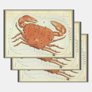 Krebs Krebs Vintage-Konstellation, Urania's Spiege Geschenkpapier Set