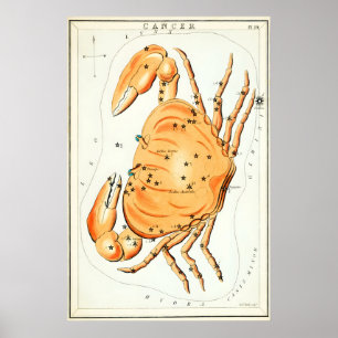 Krebs Sternbild Kunstdruck Antik Poster