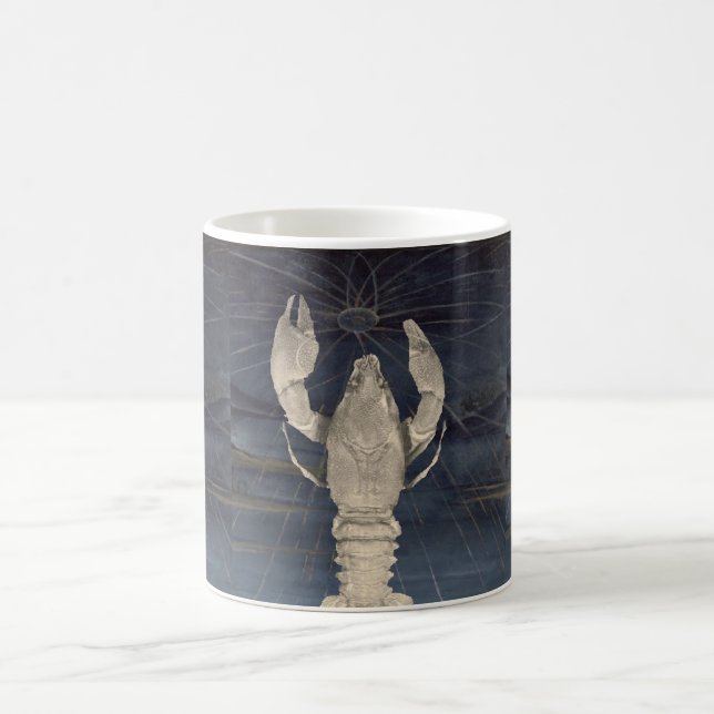 Krebse 1 kaffeetasse (Mittel)