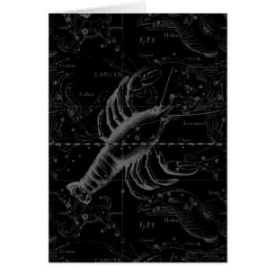 Krebskonstellation Hevelius 1690 auf schwarz