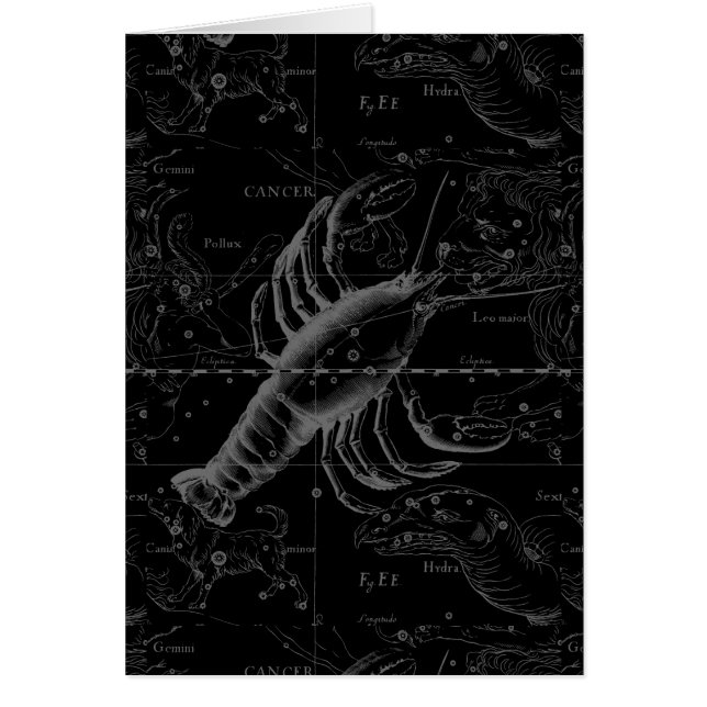 Krebskonstellation Hevelius 1690 auf schwarz (Vorne)