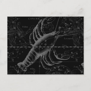 Krebskonstellation Hevelius 1690 auf schwarz Postkarte