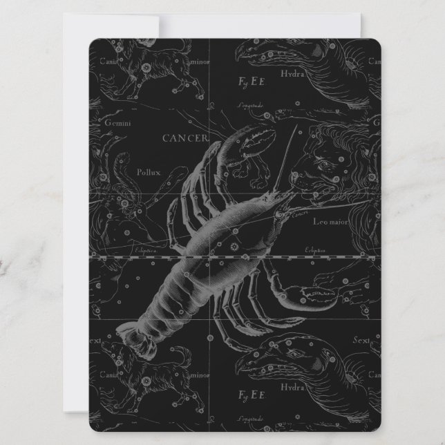 Krebskonstellation Hevelius 1690 Dekor (Vorderseite)