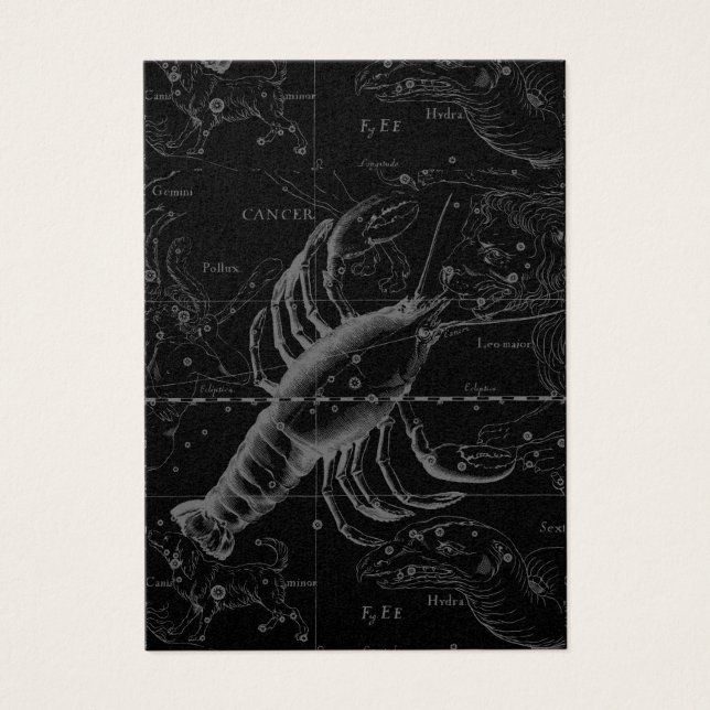 Krebskonstellation Hevelius 1690 Dekor (Vorderseite)