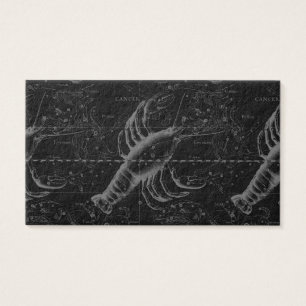 Krebskonstellation Hevelius 1690 Dekor
