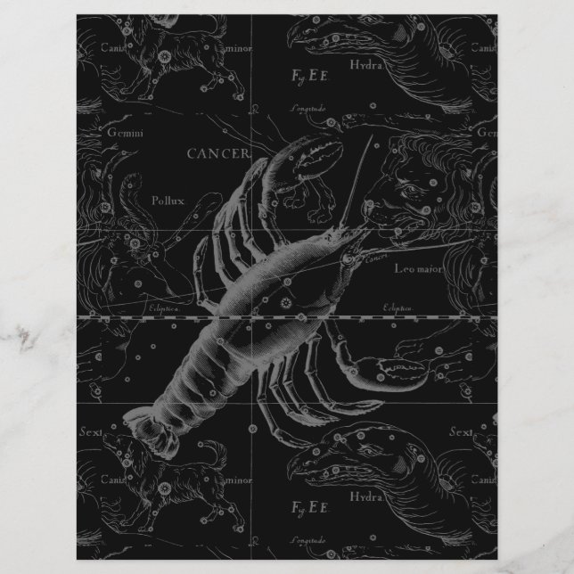 Krebskonstellation Hevelius 1690 Dekor Flyer (Vorne)
