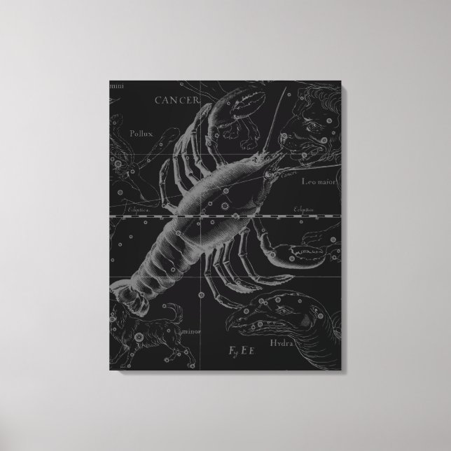 Krebskonstellation Hevelius 1690 Dekor Leinwanddruck (Vorderseite)