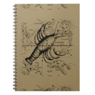 Krebskonstellation Hevelius 1690 Engaving Notizblock