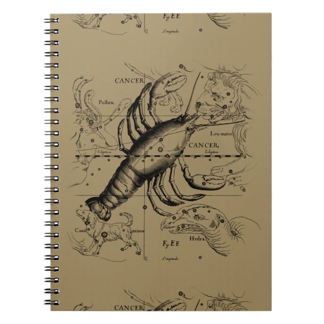 Krebskonstellation Hevelius 1690 Engaving Notizblock (Vorderseite)