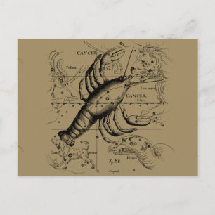 Krebskonstellation Hevelius 1690 Engaving Postkarte