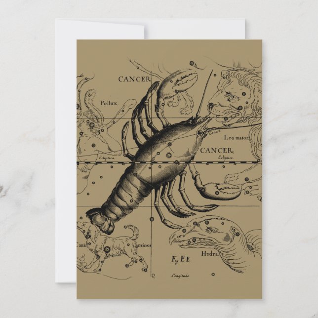 Krebskonstellation Hevelius 1690 Juni 21-Juli 22 (Vorderseite)