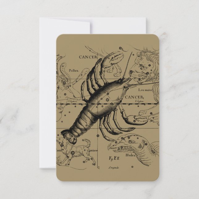 Krebskonstellation Hevelius 1690 Juni 21-Juli 22 (Vorderseite)