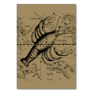 Krebskonstellation Hevelius 1690 Juni 21-Juli 22 Tischnummer