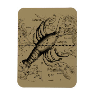 Krebskonstellation von Hevelius um 1690 Magnet