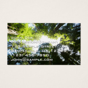 Kreis aus Redwood-Bäumen im Redwood-Nationalpark