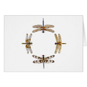 Kreis der Libellen