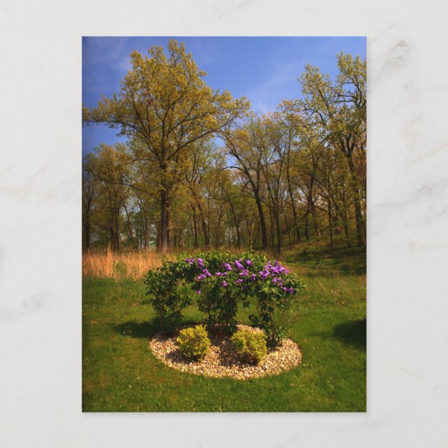 Kreis der Schönheitskarte Postkarte (Vorderseite)