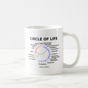 Kreis des Lebens (kreisförmiger phylogenetischer Kaffeetasse