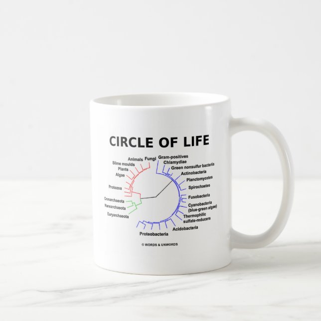 Kreis des Lebens (kreisförmiger phylogenetischer Kaffeetasse (Rechts)