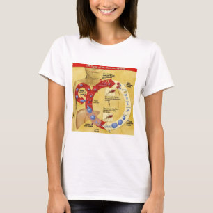 Kreis von Leben T T-Shirt
