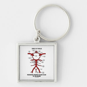 Kreis von Willis richtiges Durchblutungs-Gehirn Schlüsselanhänger