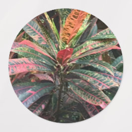 KREISETIKETTEN ETIKETTEN