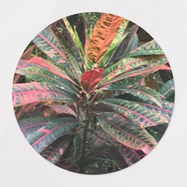 KREISETIKETTEN ETIKETTEN (Design 3)