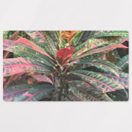 KREISETIKETTEN ETIKETTEN