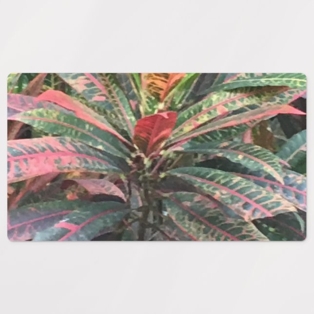 KREISETIKETTEN ETIKETTEN (Design 3)