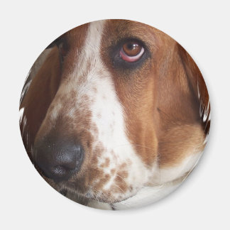Kreismagnet für Basset-Hund Magnet