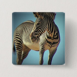 Kreiszebra-Quadrat-Button Button