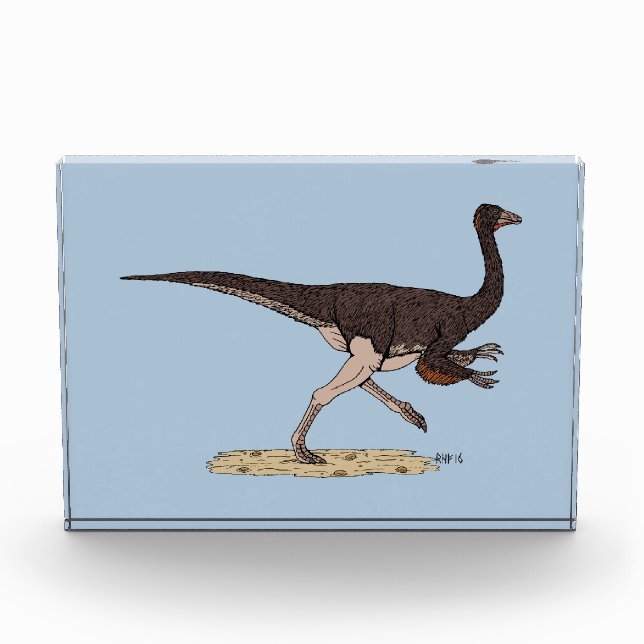 Kretakischer Dinosaurier Ornithomimus Fotoblock (Vorderseite)