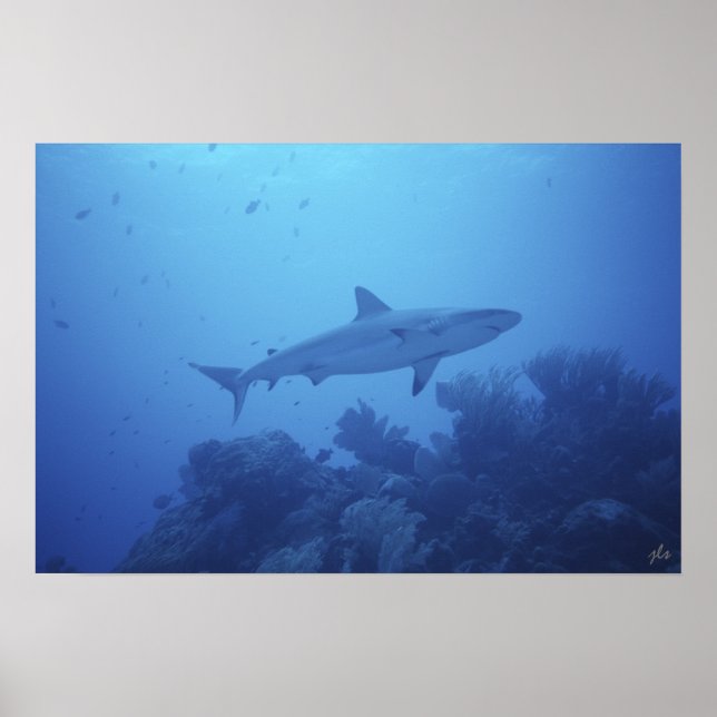 Kreuzdruck Poster (Vorne)