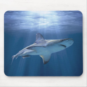 Kreuzfahrtschiff Mousepad