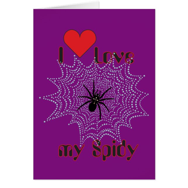 Kreuzspinne im Netz (Vorne)